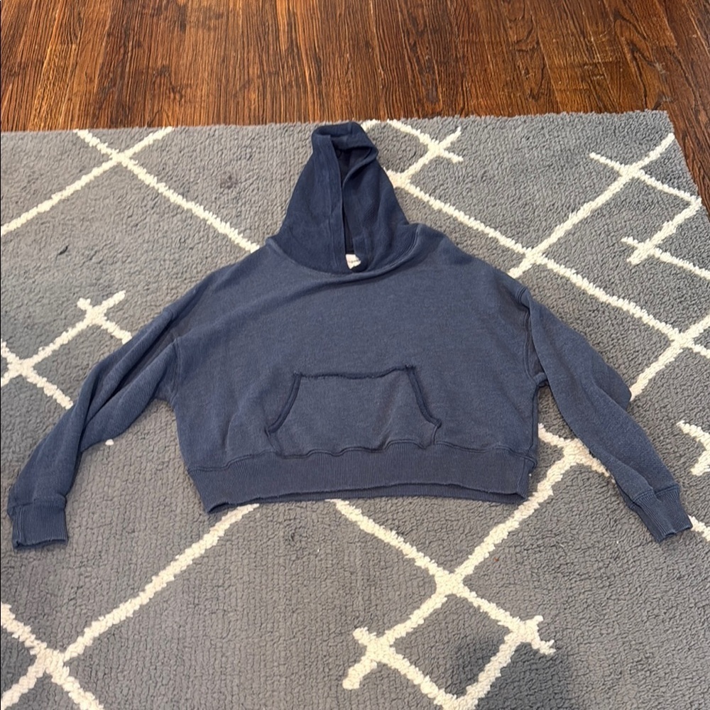 American Eagle Outfitters Blue Terry Hoodie